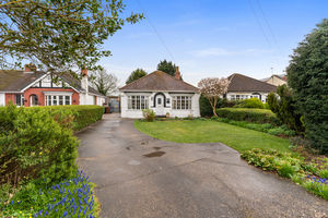 Photo 45- click for photo gallery